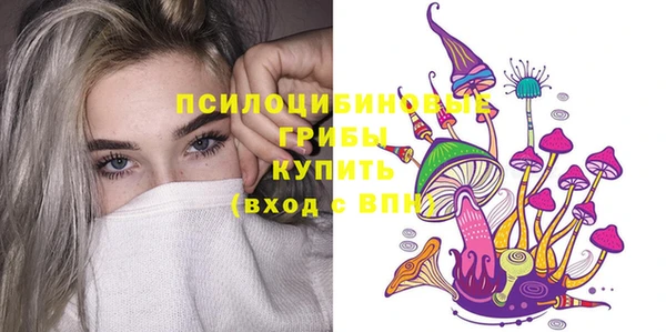 молекула духа Надым