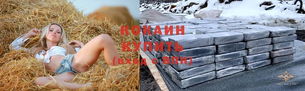 молекула духа Надым
